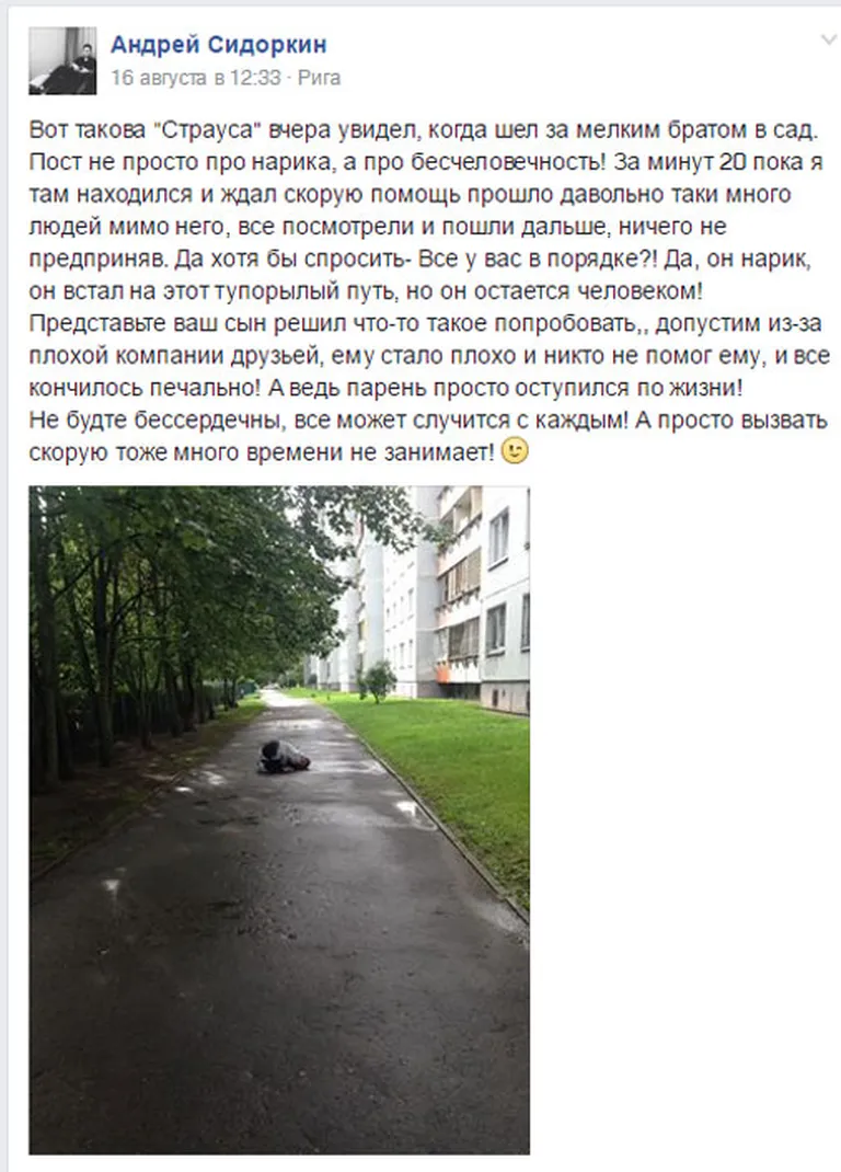 Фото статьи
