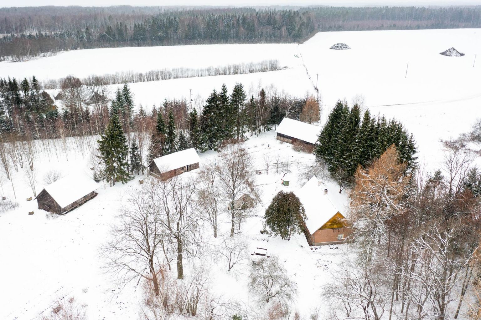 Nursipalu harjutusvälja arendus riivab Kagu-Eesti elanike turvatunnet. Pildil harjutusvälja huviala piirile jääv Piisi küla.