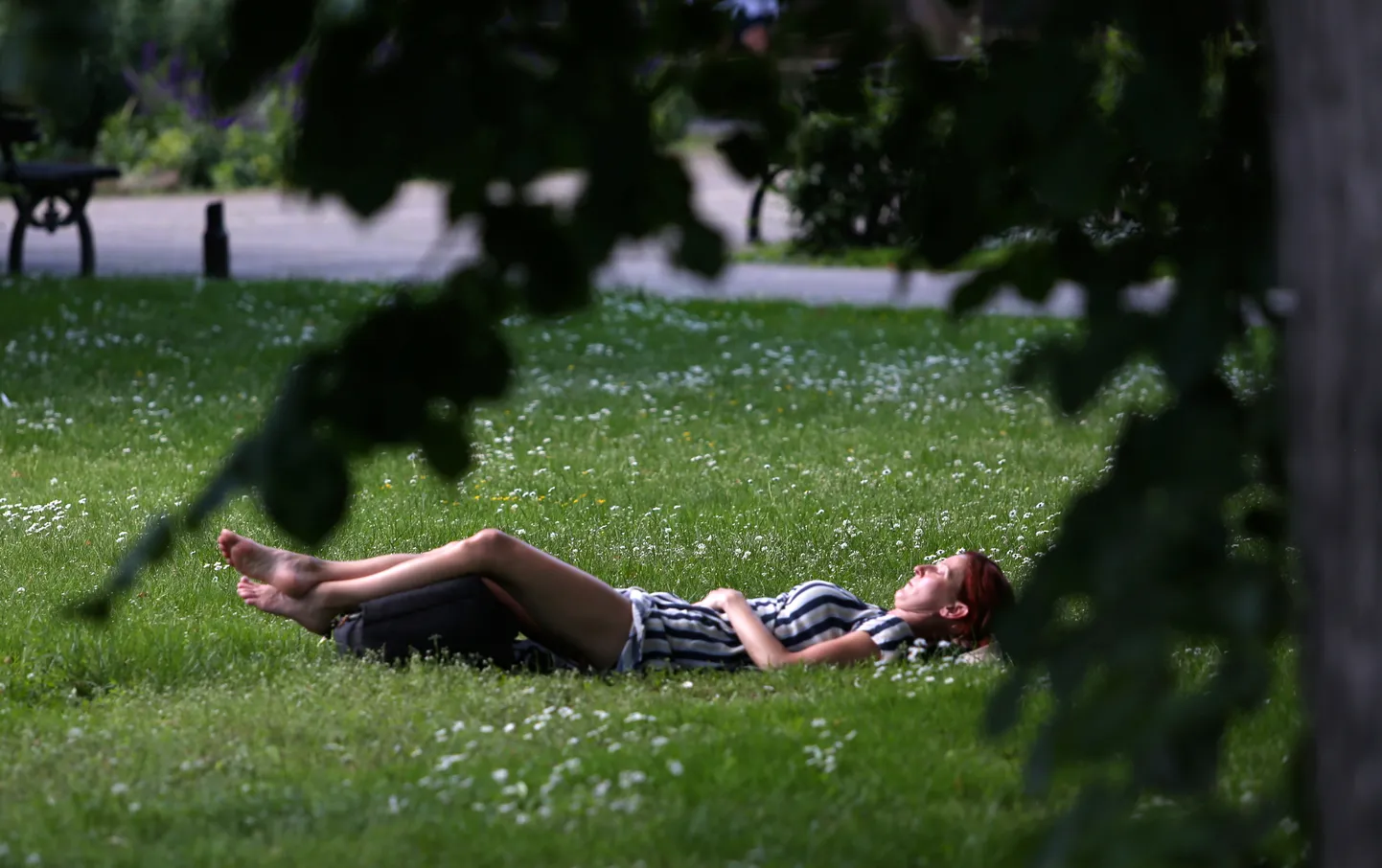 Аномальная жара. То ветра то жара. То ветра то жара. Жара. То ветра то жара.