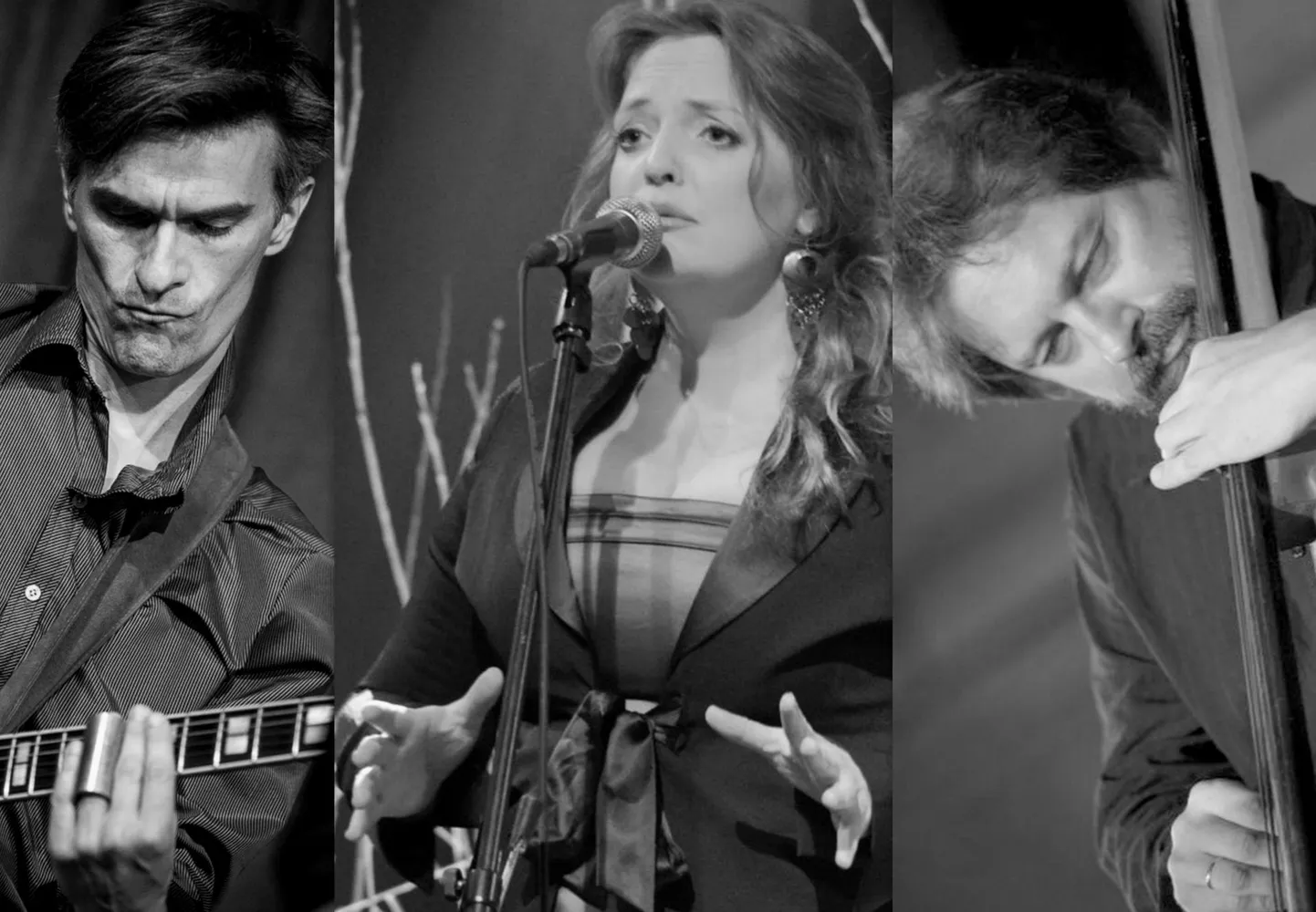Trio Marek Talts, Hedvig Hanson ja Taavo Remmel esineb Viljandi baptisti kirikus pühapäeval, 8. detsembril.