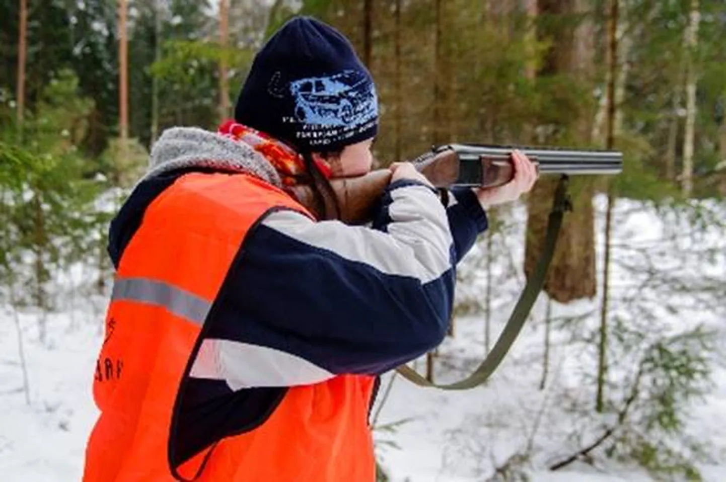 Viljandimaa jahimeestel õnnestus tabada üheksast lubatust seitse hunti.