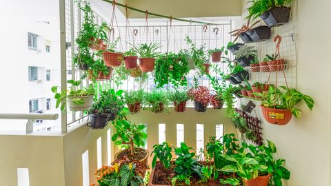 Urbānais dārzs: 2026. gada dārza dizaina tendences pilsētvidē