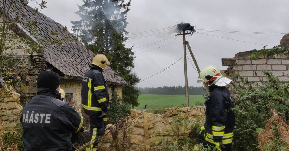 Kuksemal põleb kurepesa