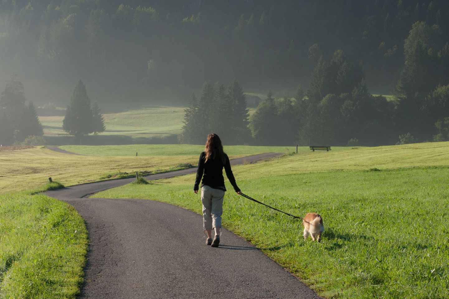Hommikune jalutuskäik on sulle mitmekülgselt kasulik.