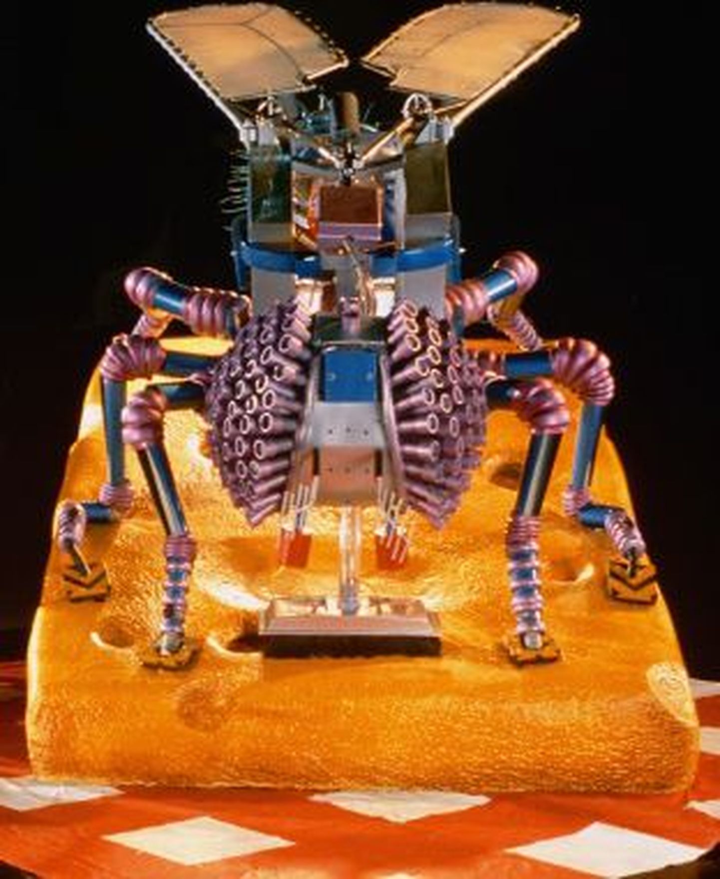 Robotloomade näitusel saab aimu, kuidas toimivad loomade kehad.
