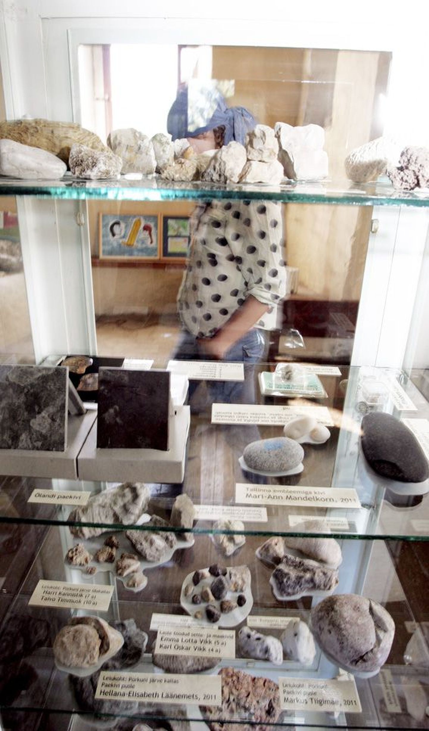 Paemuuseumile kingitud kivide näitus, kus saab imetleda ka erkvalget Porkuni koralli.