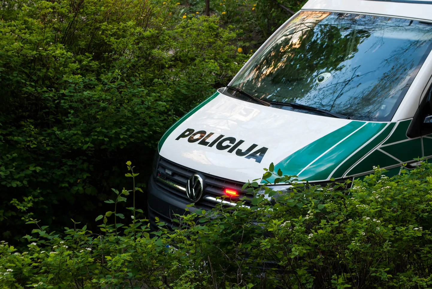 Raksta foto
