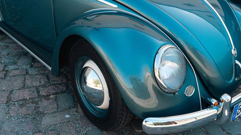 Kas rotid lahkuvad uppuva VW pardalt?