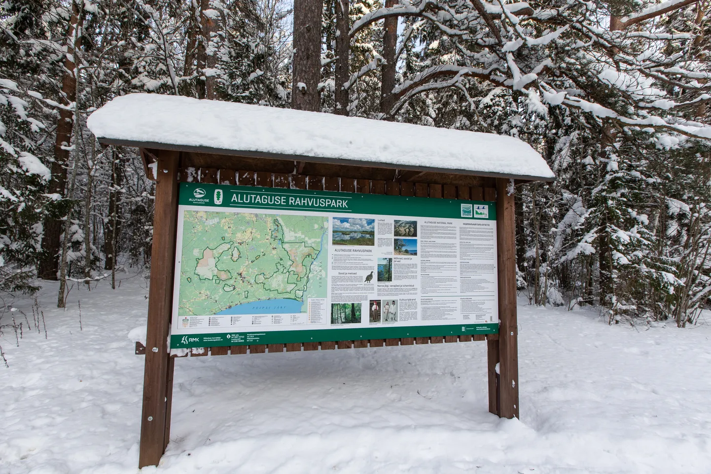 Praegu laiub Alutaguse rahvuspark 45 000 hektaril.
