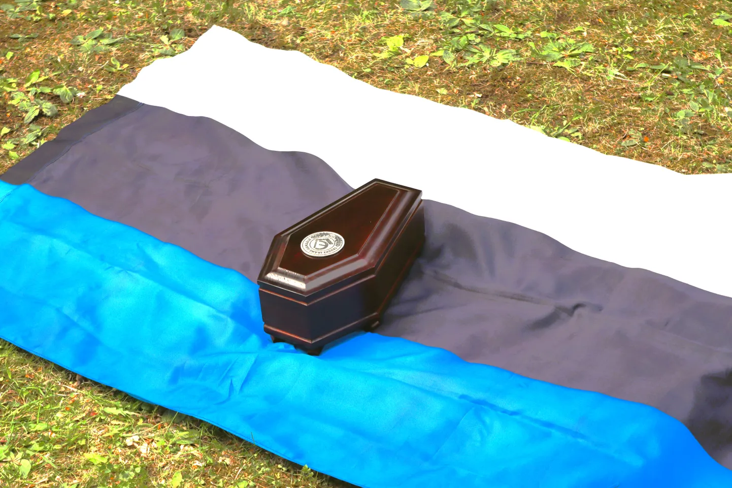 Jaak Mosina urn Eesti lipul.