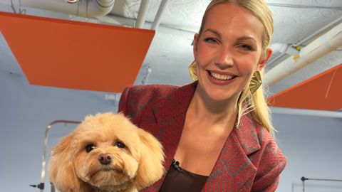 Keili Sükijainen avastab New Yorgi koerte selgeltnägijate maailma