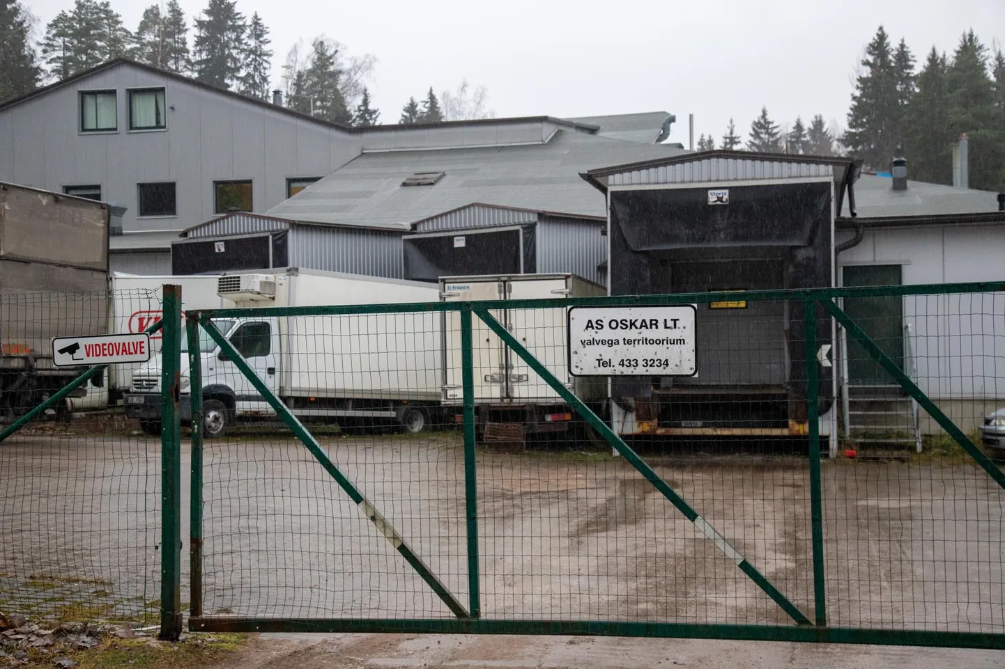 Saarepeedil Oskar LT tootmiskompleksis käis neljapäeval töö tavapärases rütmis. Ükski kauplusekett pole juhtunu tõttu lihatööstusega lepingut lõpetanud.