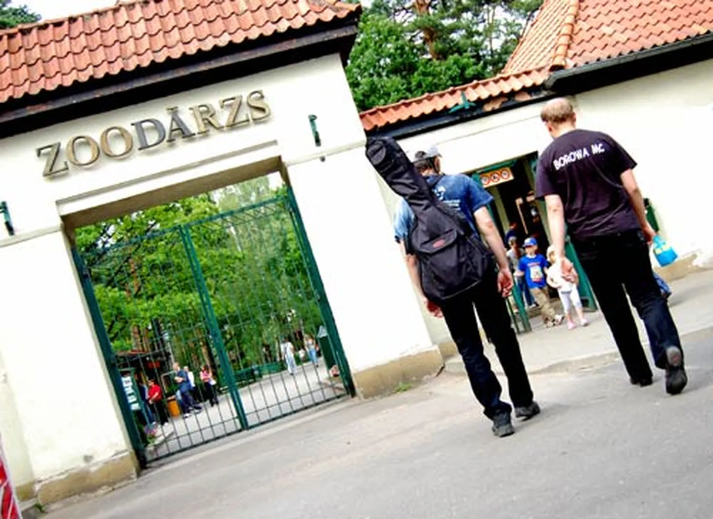 Raksta foto
