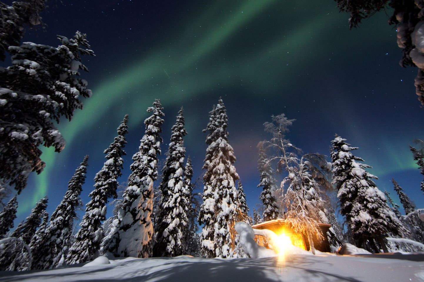 Virmalised ja valgustatud metsaonn Soomes Lapimaal