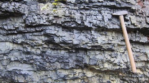 Norras töötav Eesti geoloog tegi Californias puhkust veetes tähelepanuväärse avastuse Maa ajaloo kohta