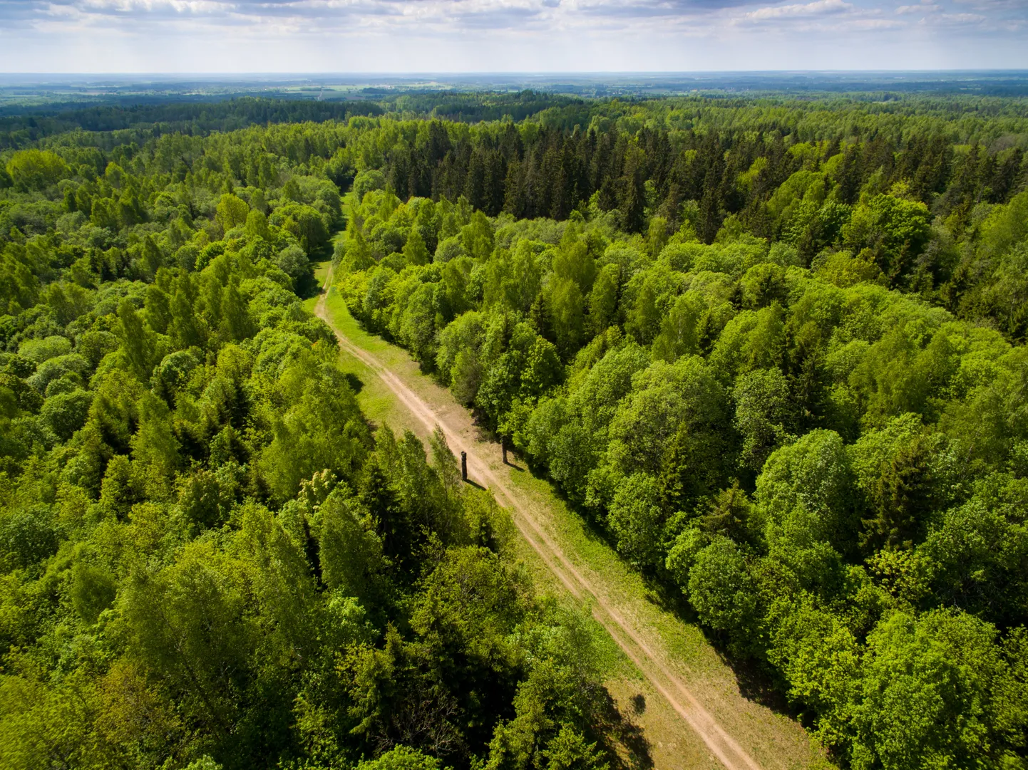 Otepää looduspark. Foto on illustratiivne.