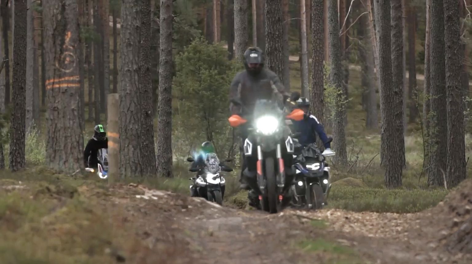 Motocikli mežā