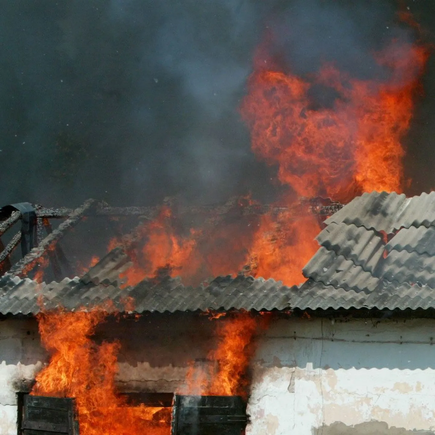Tulekahju nõudis paarikümne kodulooma elu