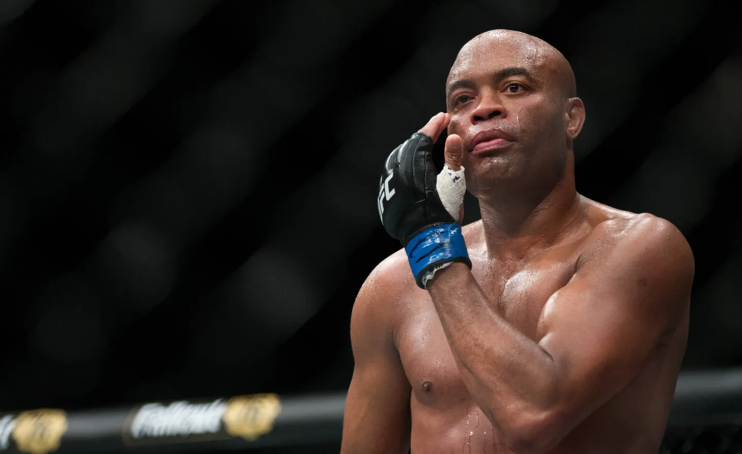 Anderson Silva