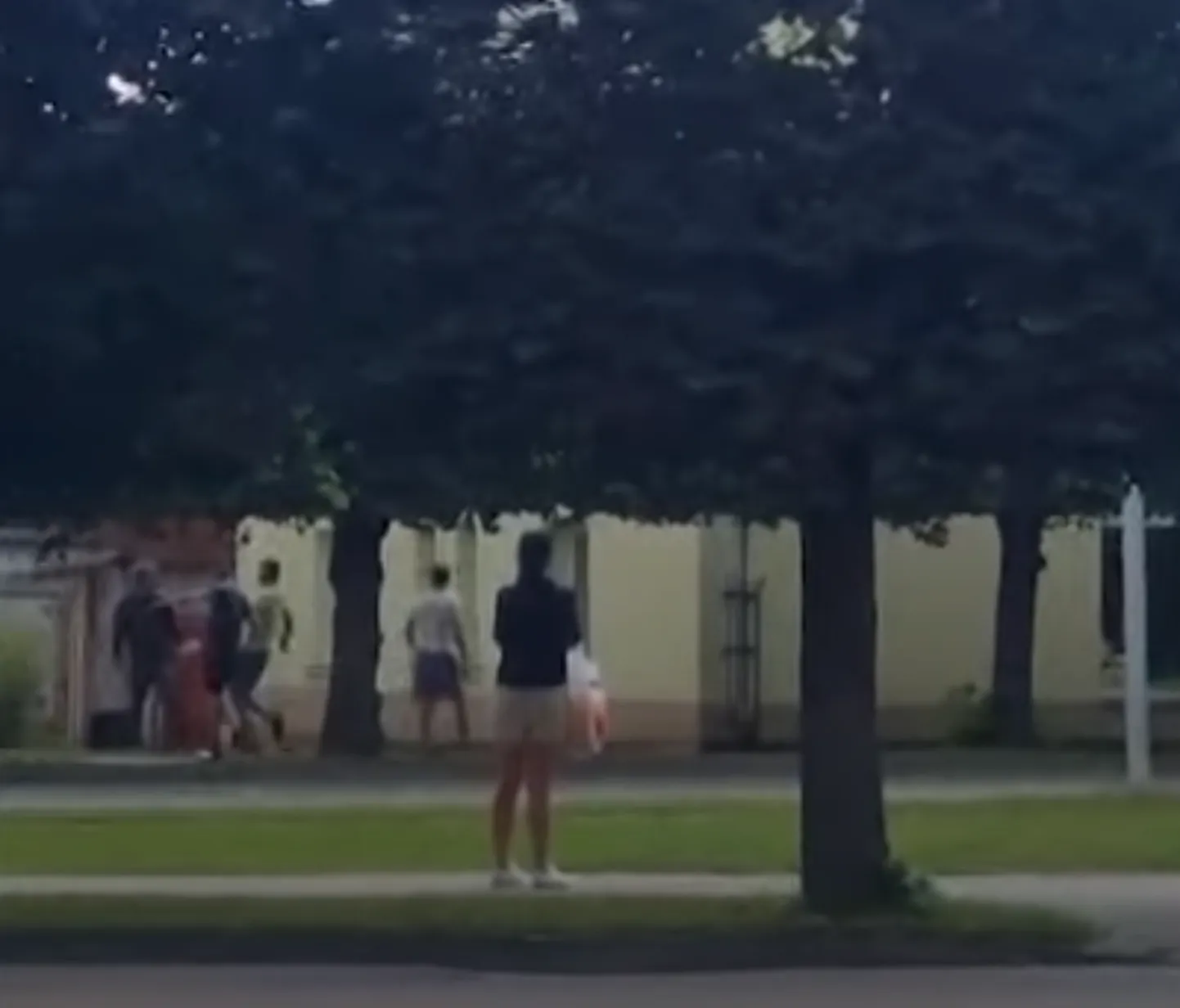Raksta foto