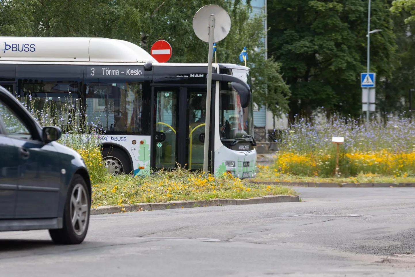 Vaatevälja piiranud taimed on tänaseks maha niidetud.