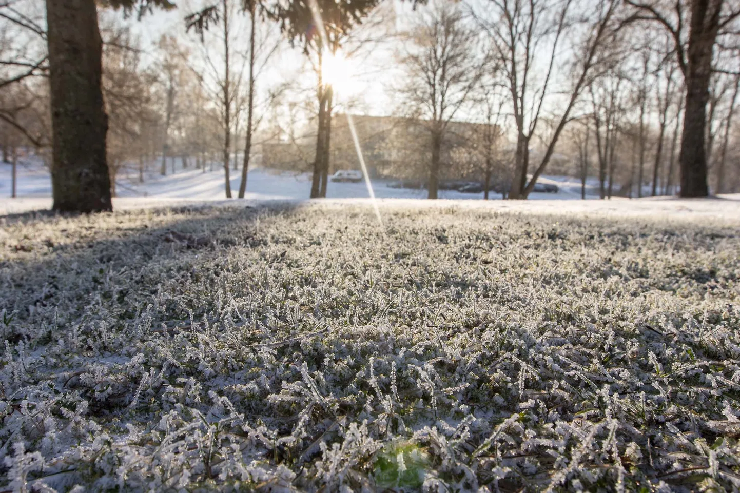 Eelolev nädal paneb kevadsooja mõneks ajaks pausile ja asendab selle kohati üsna krõbedate miinuskraadidega.