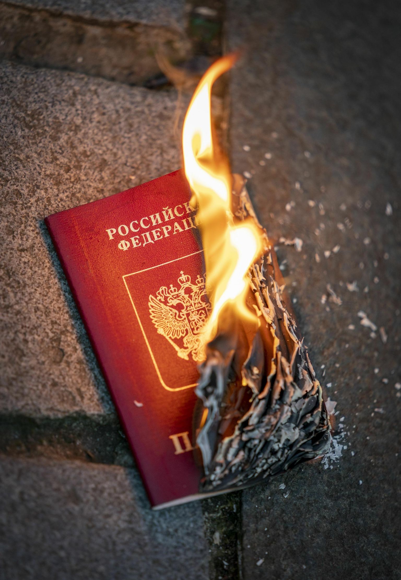 Meeleavaldaja põletab oma Vene passi.