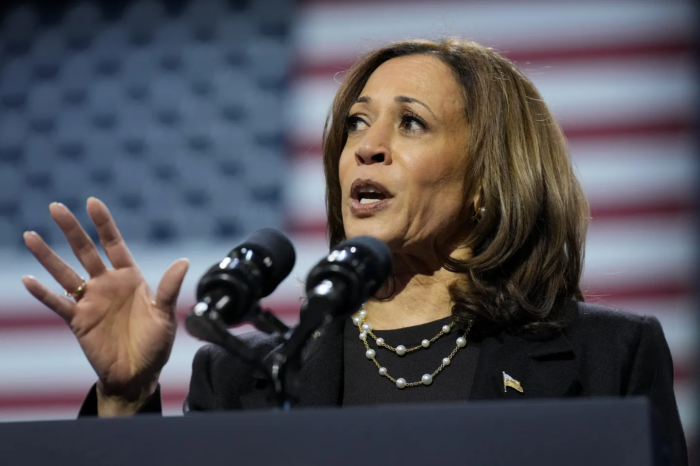 Demokraatide presidendikandidaat Kamala Harris kampaaniaüritusel 14. oktoobril 2024. aastal.