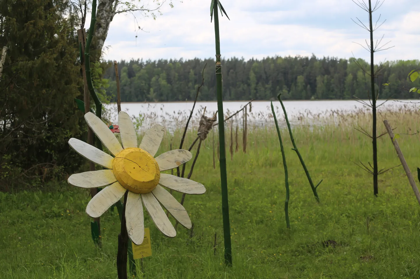 Kevadsuvine vaade Ähijärvele