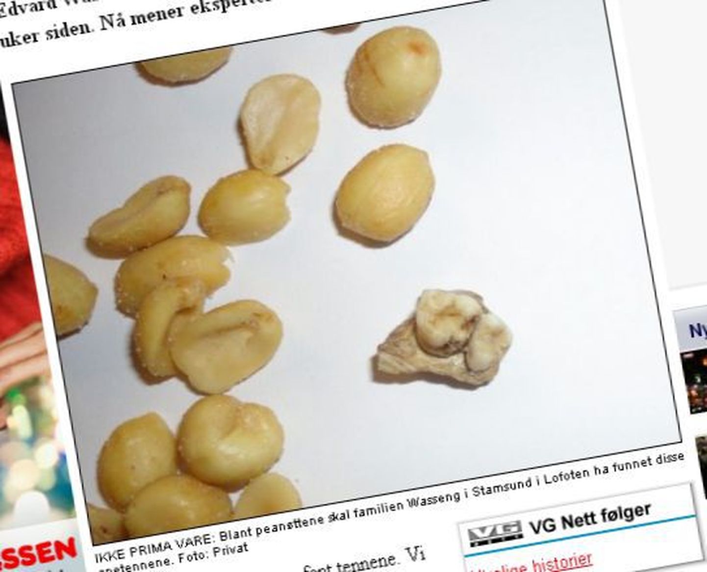 Fragment ajalehe Verdens Gang internetiväljaandest. Pildil pähklikotist leitud hammastega lõualuutükk.