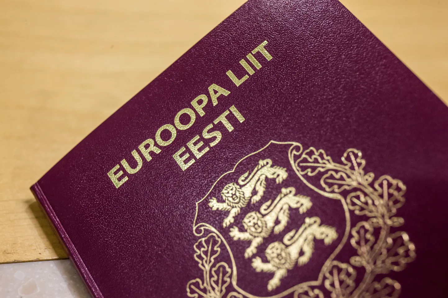 Justiitsministeerium plaanib piirata ka elatisvõlglase reisimist.