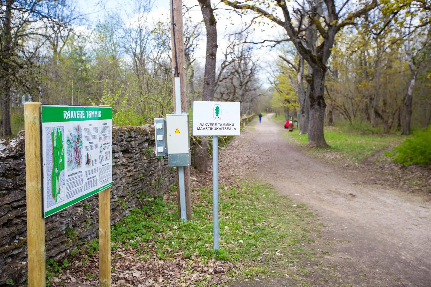 Infotahvel Rakvere tammikus.