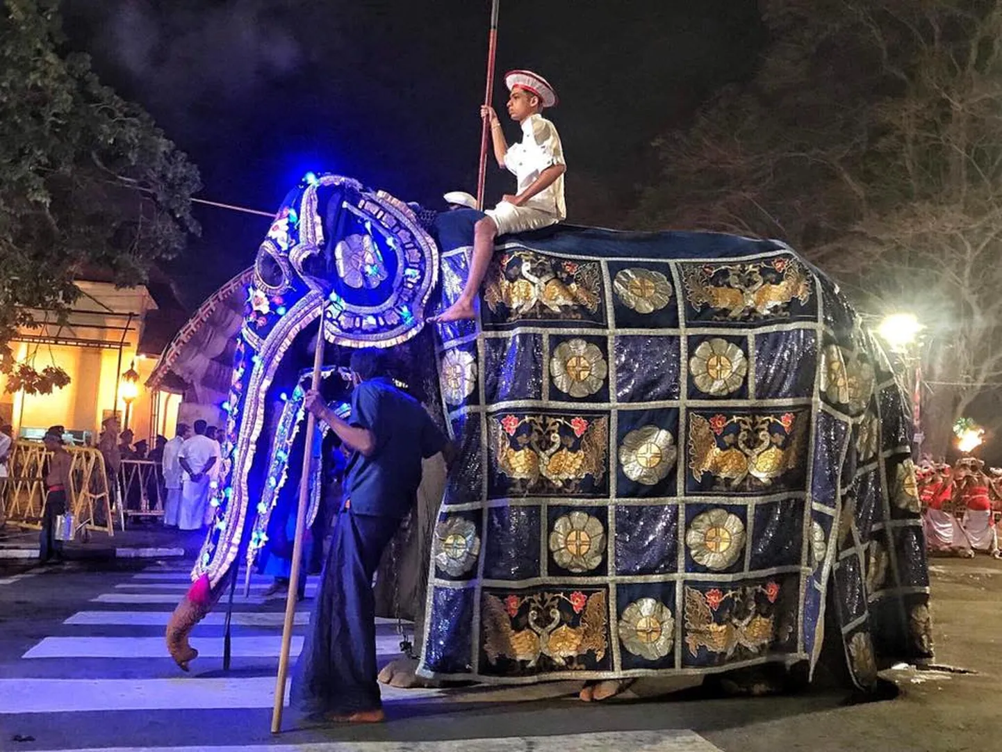 Novājinātais budistu festivālu zilonis festivāla tērpā