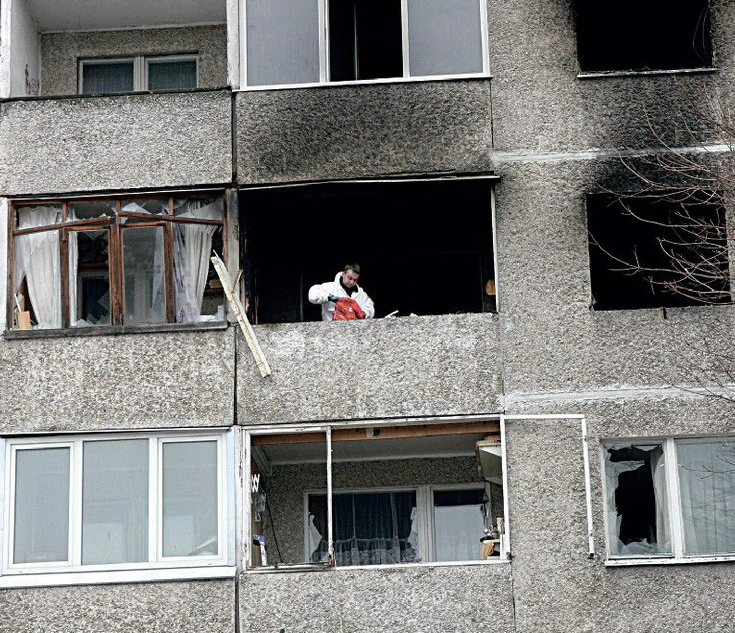 Фото статьи