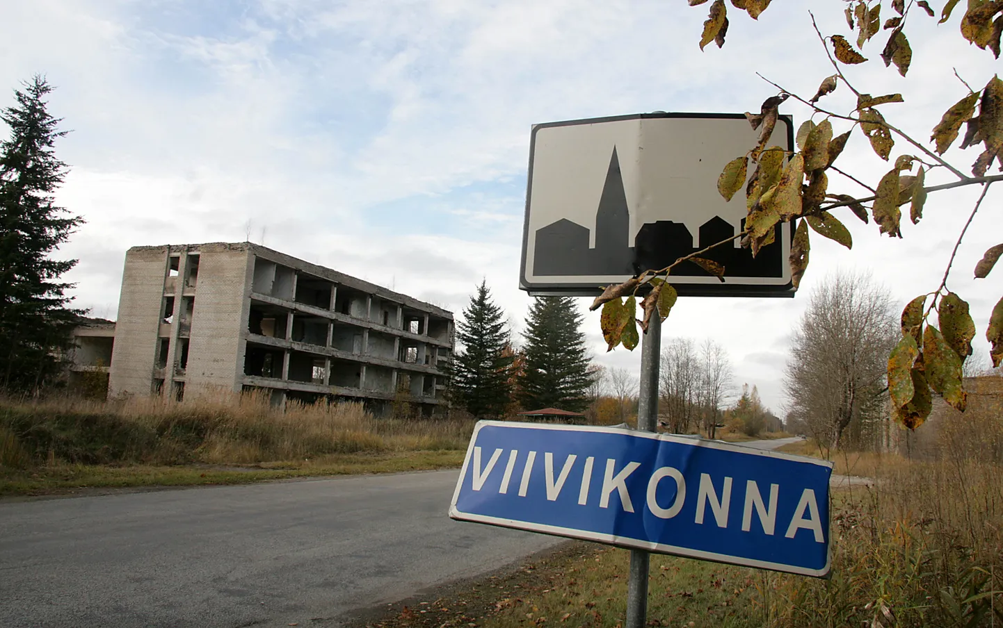 Viivikonna depressiivne vaade.