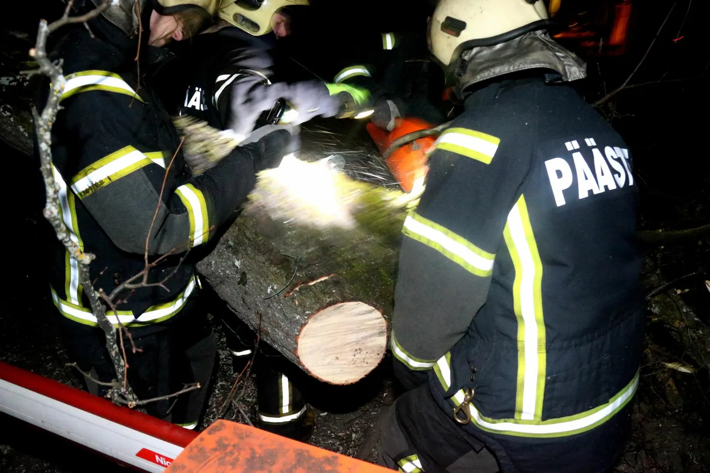 Päästjatele tähendab tormine öö ohtralt tööd mootorsaega, et teed sõidetavaks saada. Foto on illustratiivne.