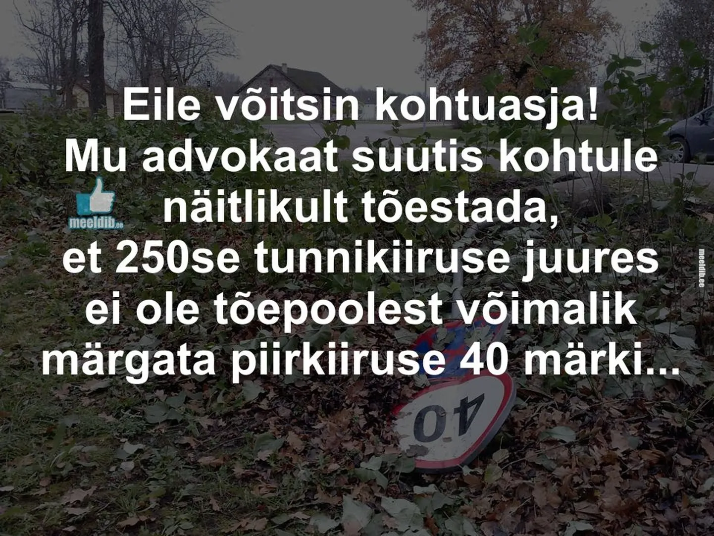 Artikli foto