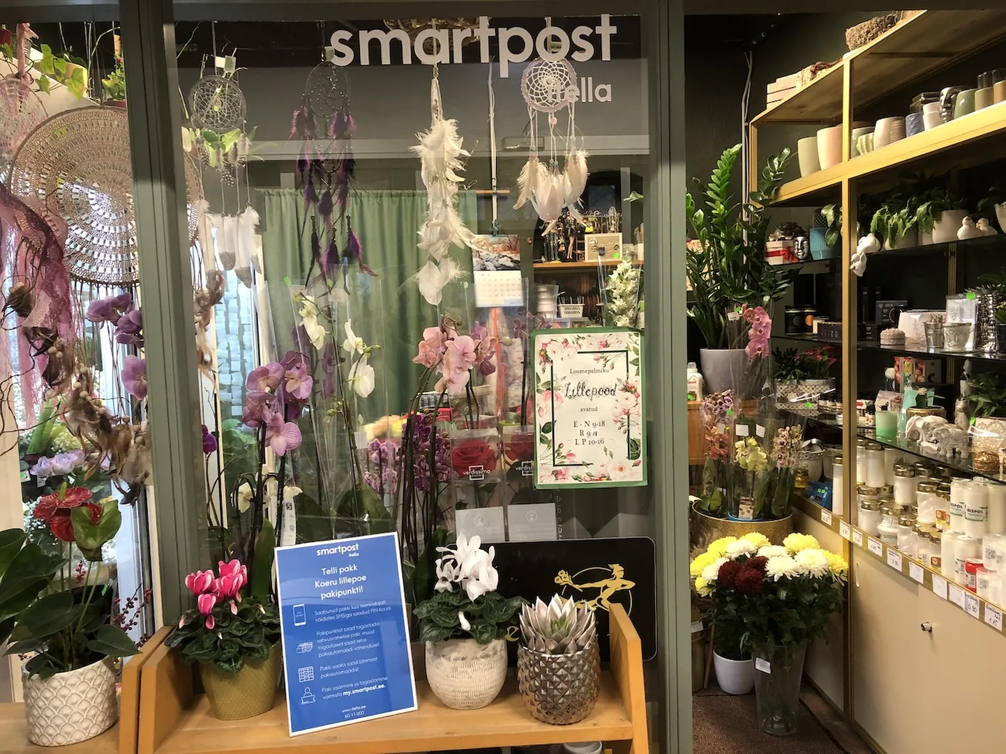 Koeru Loomepalmiku lillepoodi saab nüüdsest postipakke saata.