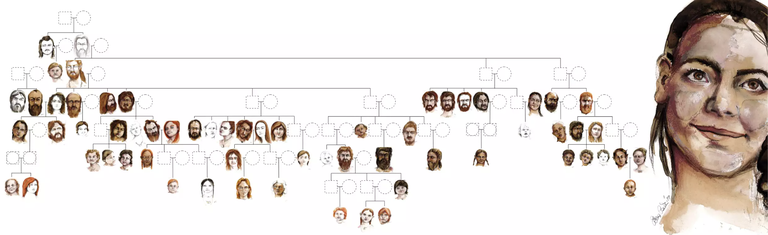 Kiviaja sugupuu, mis hõlmab seitset põlvkonda. Joonis põhineb geneetilisel teabel. Punktiirjoontega kujundid tähistavad puuduvaid pereliikmeid – mehed on ruudud ja naised on ringid.