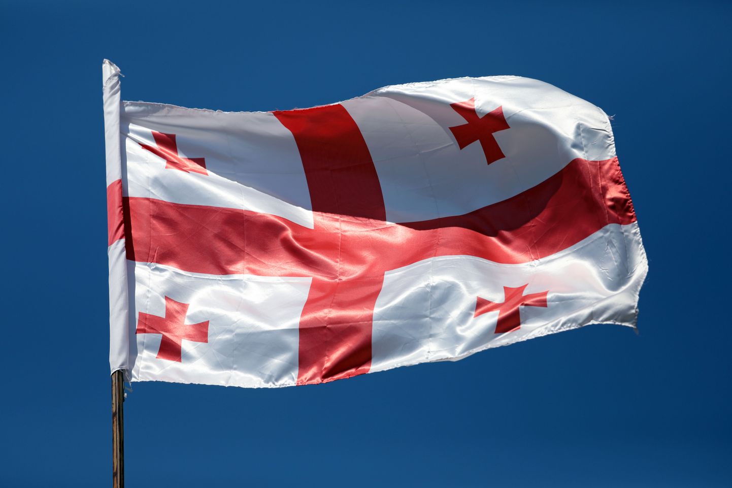 Gruusia lipp.