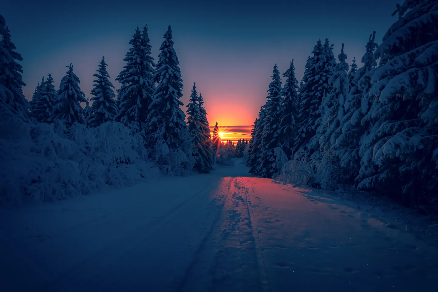 Talvine päikeseloojang Kesk-Soomes Sotkamos