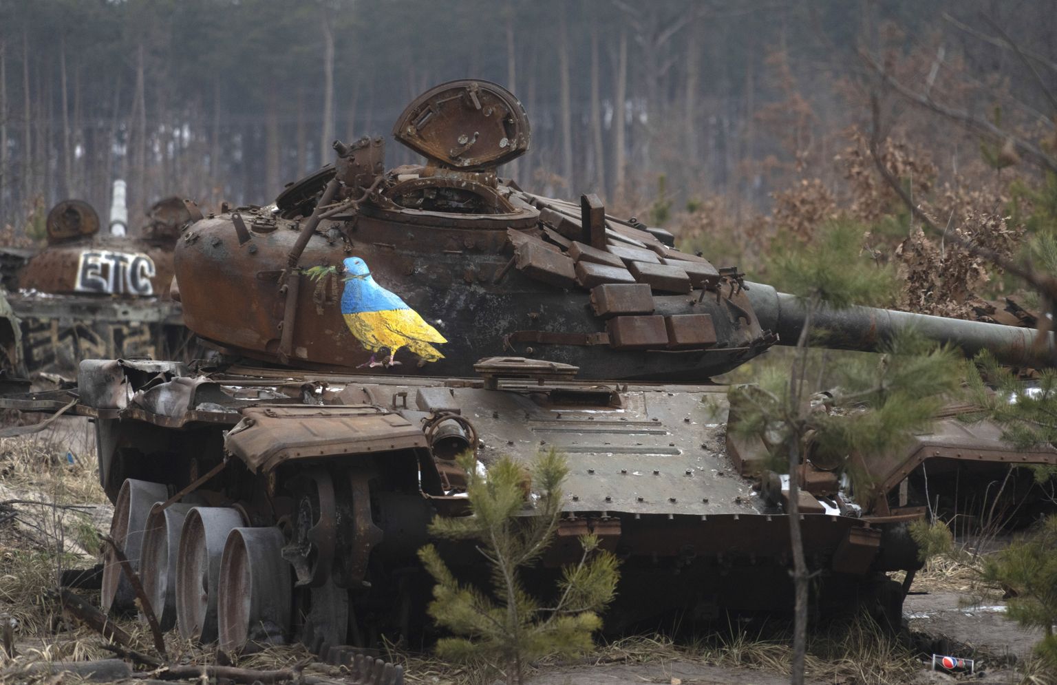 Ukraina armee hävitatud Vene tank Põhja-Ukrainas Dimitrõvka küla juures. Ukraina tuntud tänavakunstnik TvBoy joonistas tankile Ukraina lipu värvides rahutuvi. Foto on tehtud 30. jaanuaril 2023