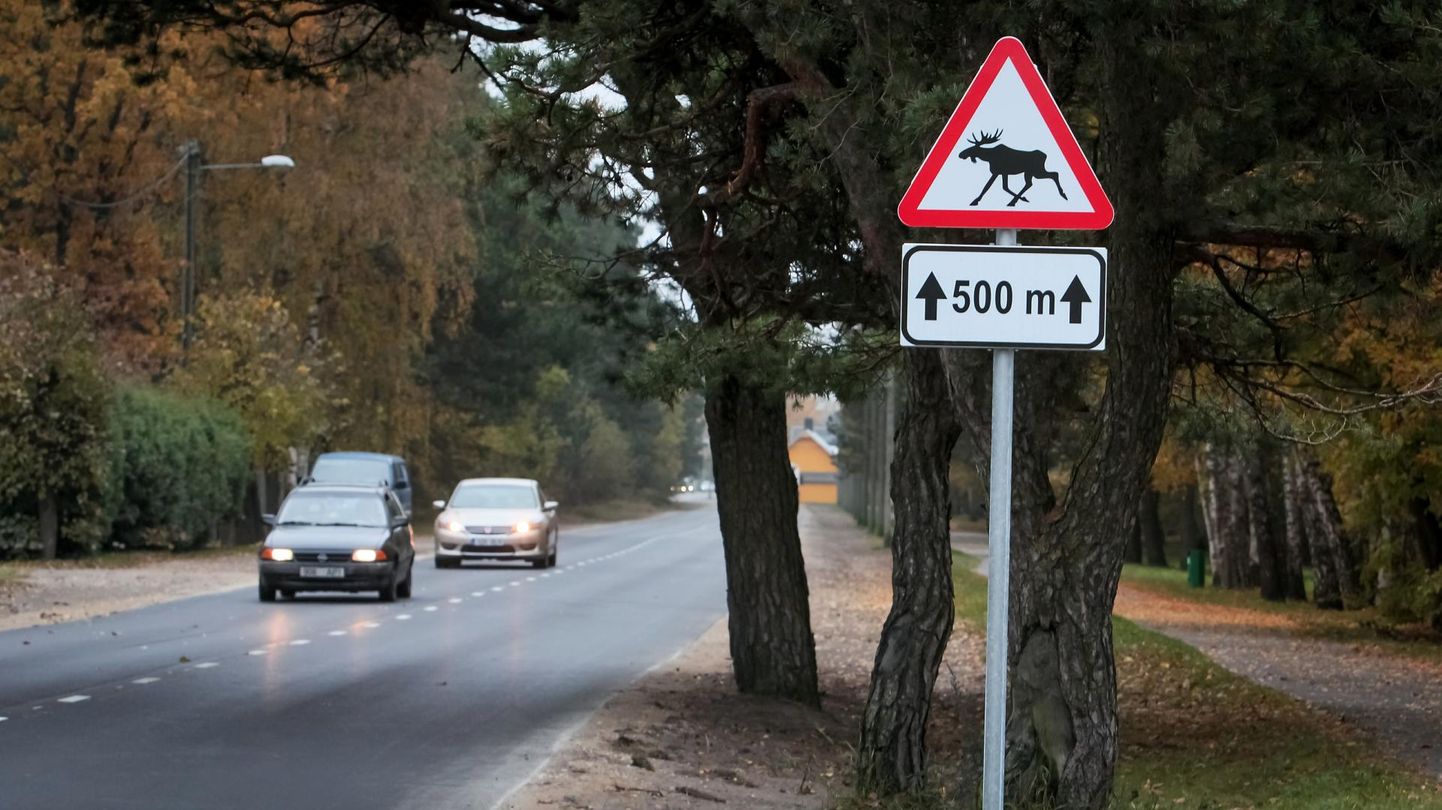 Põdra eest hoiatav liiklusmärk. Foto on illustratiivne.