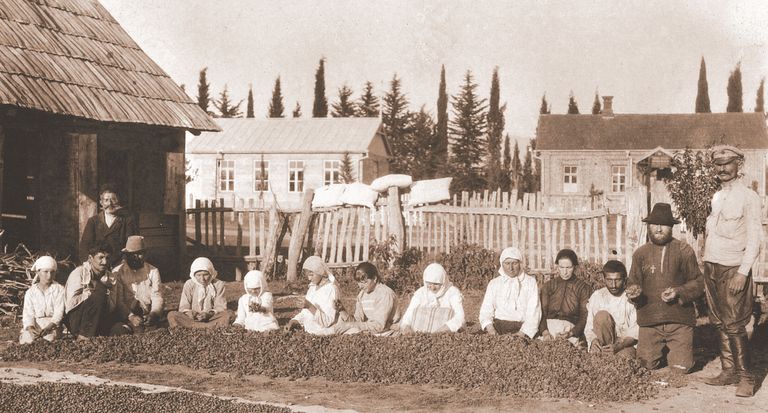 Pähklipuhastustalgud Estonias. Taga vasakul betoonist maja, kus käis koos näitemänguselts, paremal tellistest külavalitsusehoone. A. Kruussoni foto. (1918)