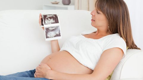 В США запретили методику зачатия ребенка от трех родителей