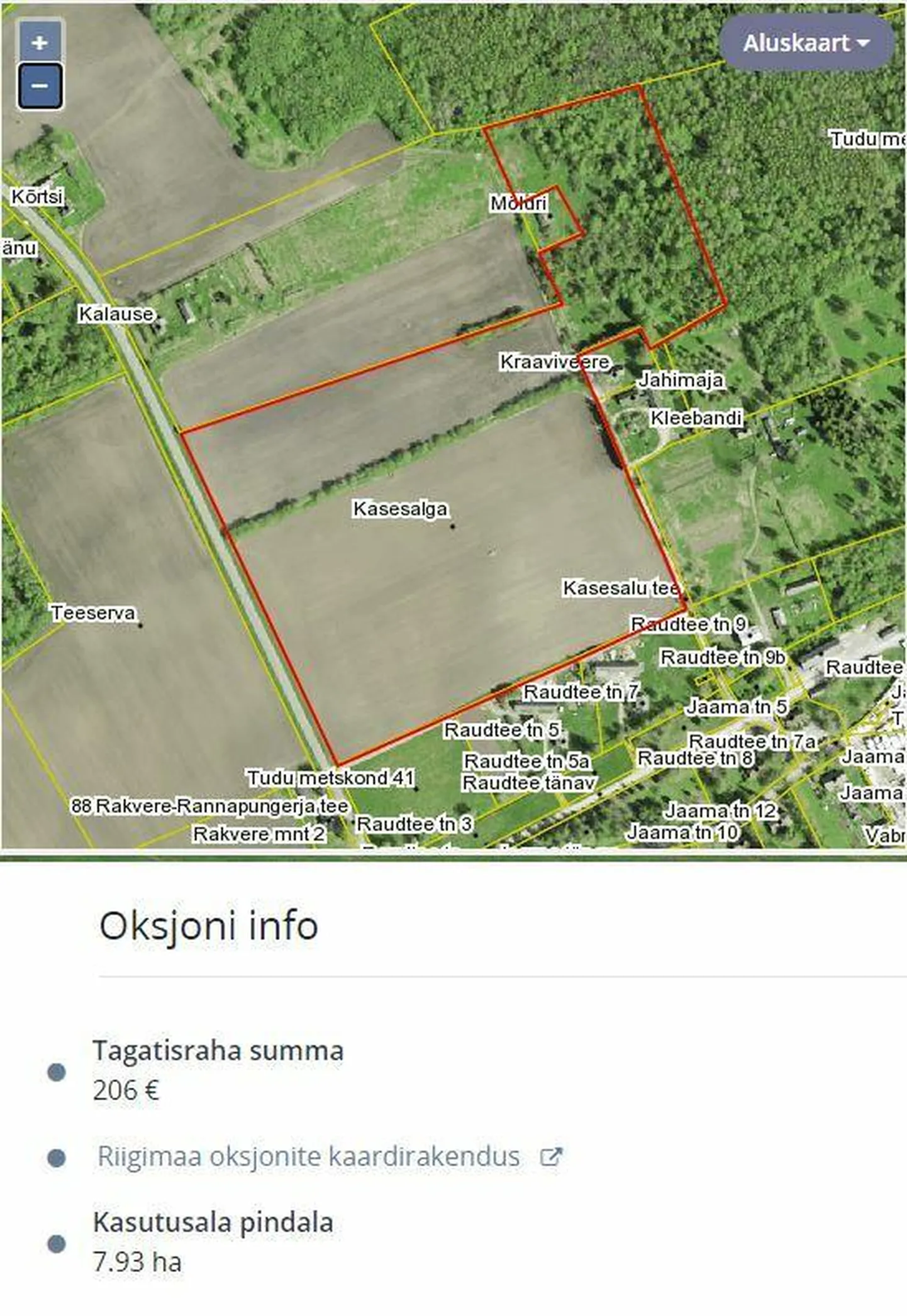 Kuvatõmmis pea 8 ha suurusest riigile kuuluvast Kasesalga maalapist Vinni vallas Tudu alevikus.