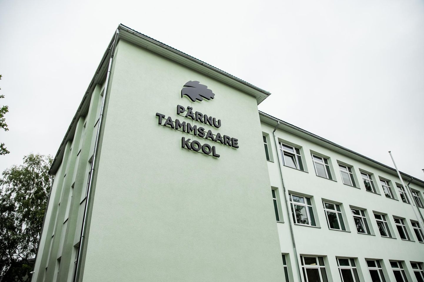 Pärnu Tammsaare kool läheb distantsõppele.