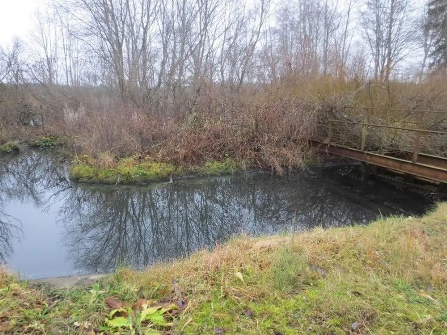 Sonda reoveepuhasti jäänused ja ringkanal.