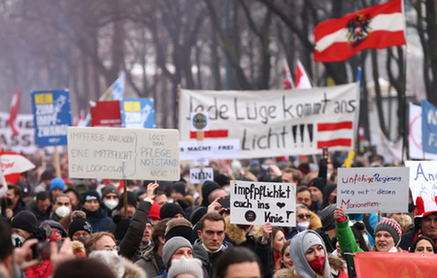 Акция протеста в Австрии