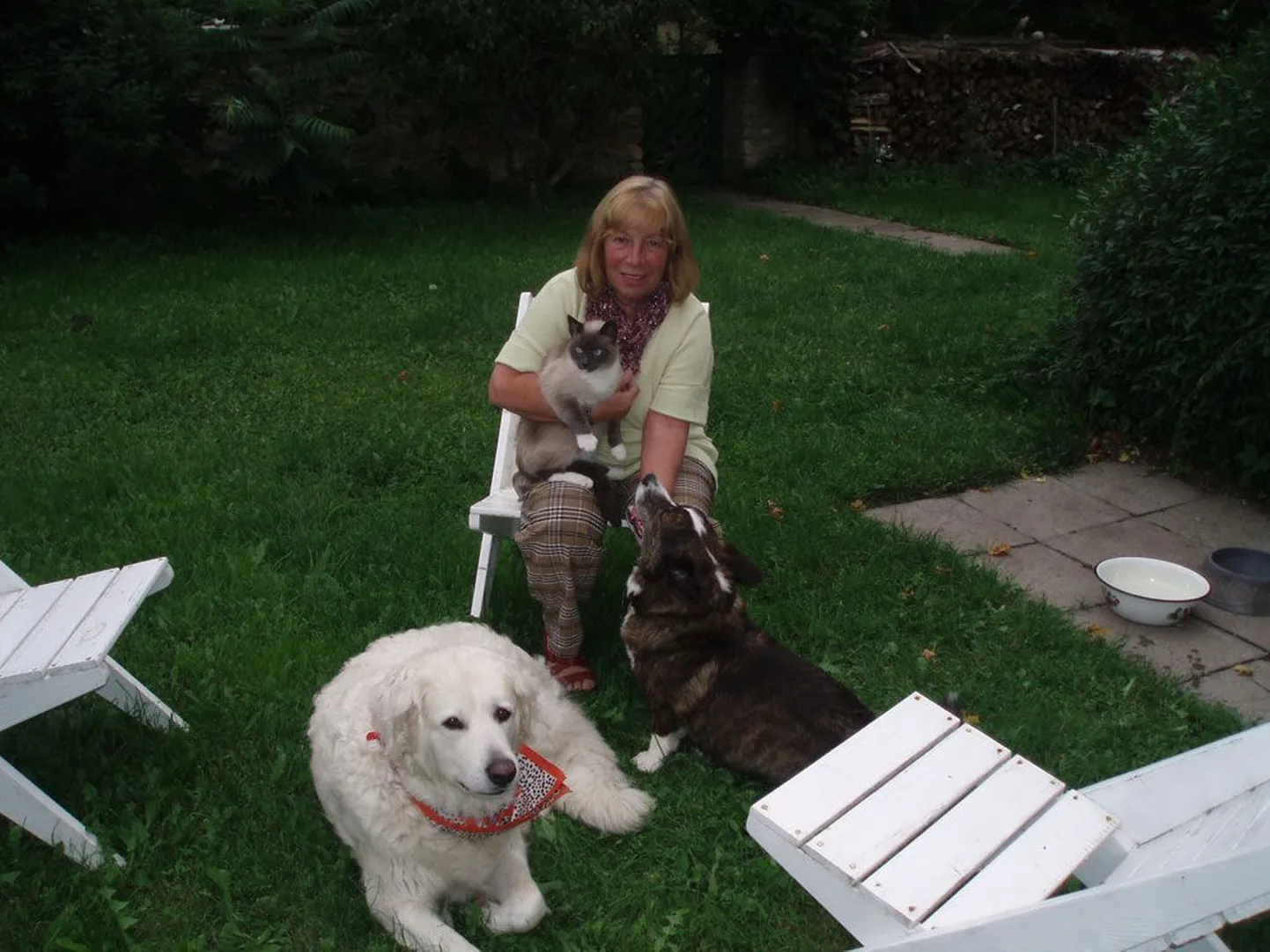 Paruness Renate von der Pahleni koer Ronja kannab kaelarätti, nagu Saksamaal kombeks. Eestlased on Renatelt küsinud, kas koera kurk on haige.
